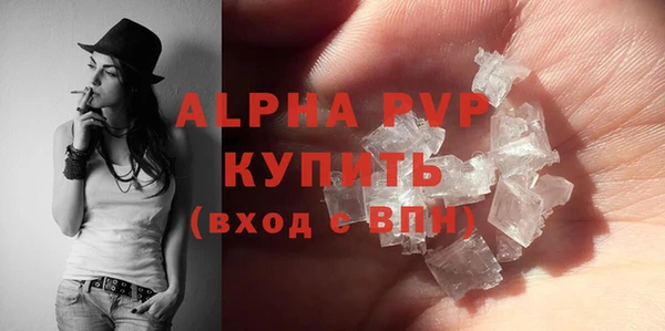 шишки Абаза