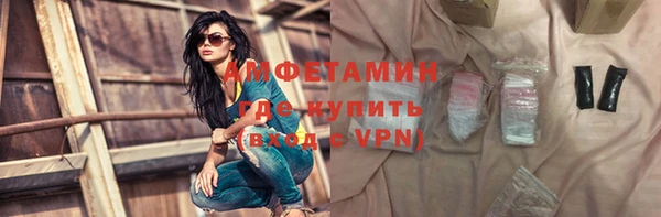 шишки Абаза