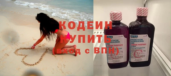 шишки Абаза