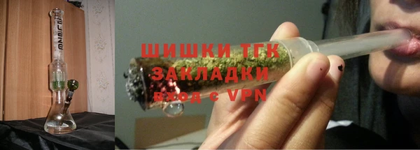 шишки Абаза