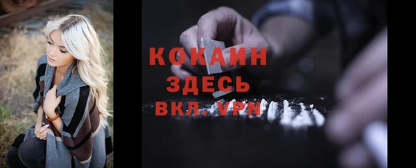шишки Абаза
