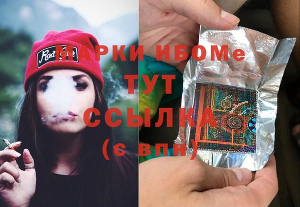 шишки Абаза