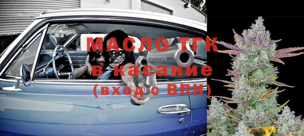 шишки Абаза