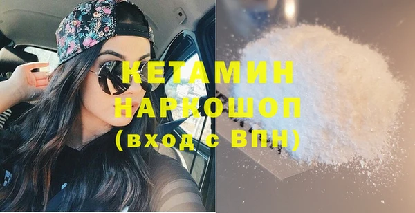 шишки Абаза
