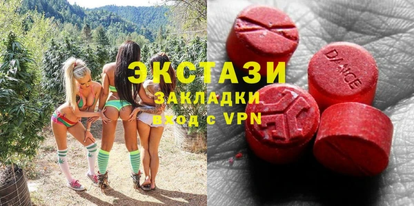 шишки Абаза