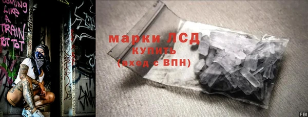 шишки Абаза