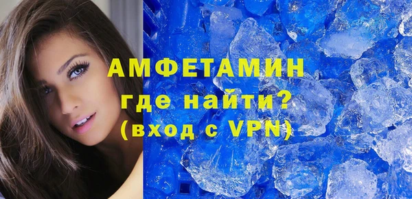 шишки Абаза